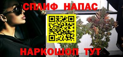 мдпв Ачхой-Мартан