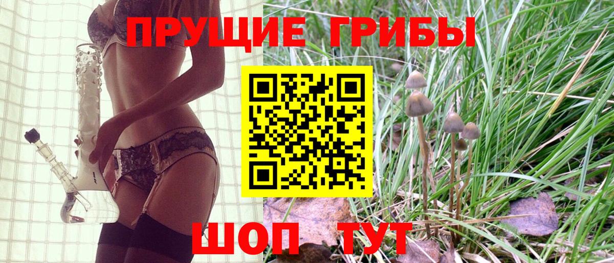 Галлюциногенные грибы прущие грибы  Вход с VPN  Котовск 